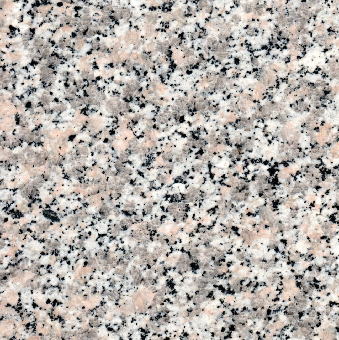 Rosa Sardo Beta | 30x30x1 | 30 m2